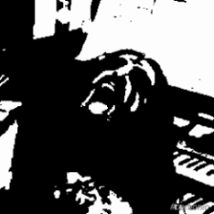ziviani filippo